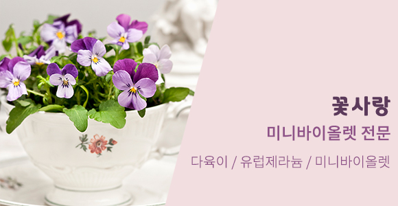업체소개